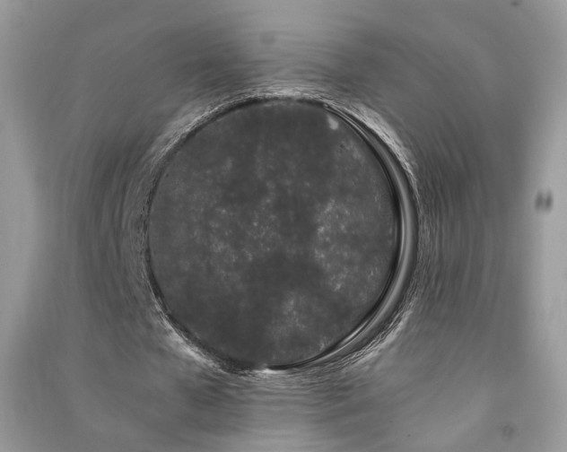 X0000091300577200708101310