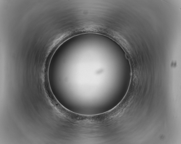 X0000091300578200708101310