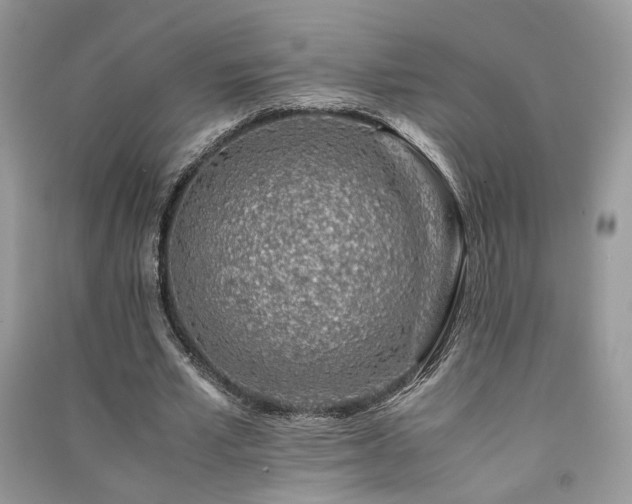 X0000091300581200708101310