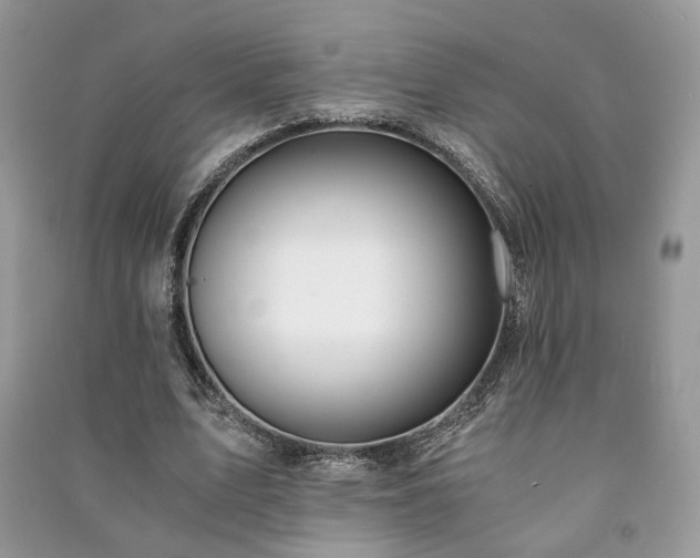 X0000091300583200708101310