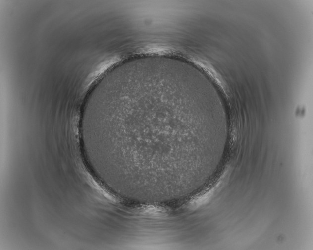 X0000091300585200708101310