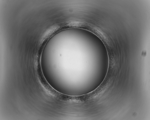 X0000091300586200708101310