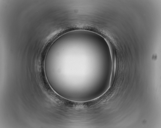 X0000091300587200708101310