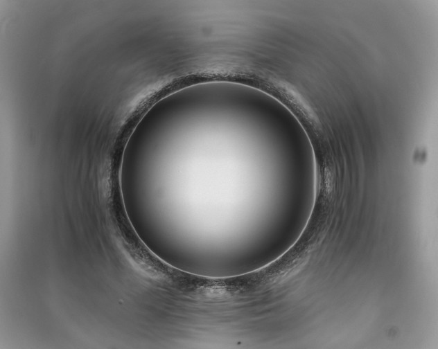 X0000091300588200708101310