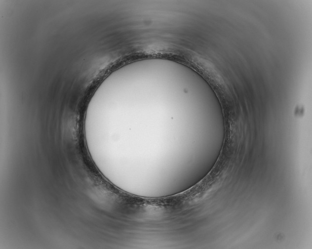X0000091300592200708101310