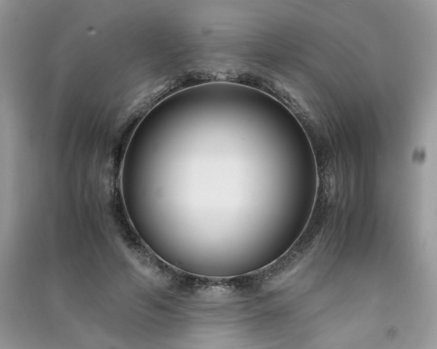 X0000091300594200708101310