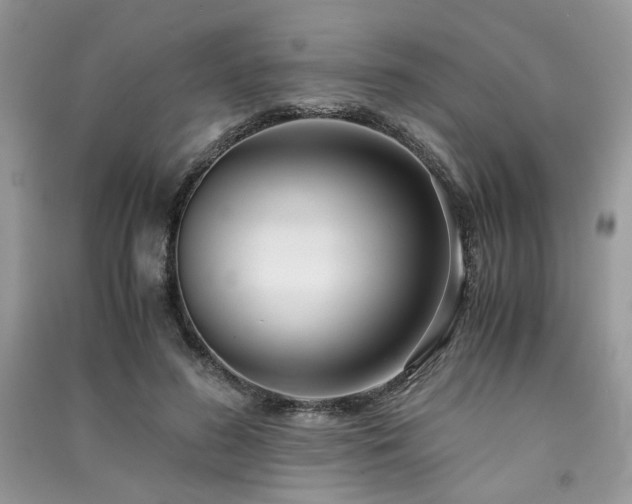 X0000091300596200708101310