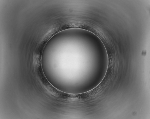 X0000091300598200708101309