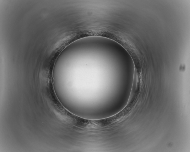 X0000091300599200708101309