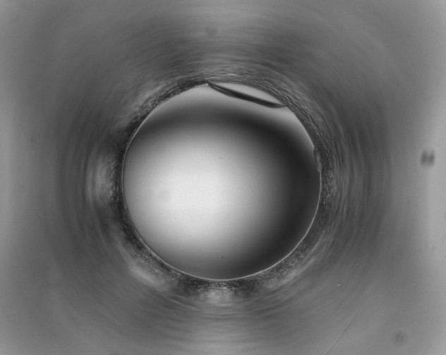X0000091300600200708101309