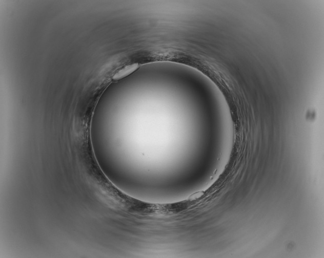 X0000091300601200708101309
