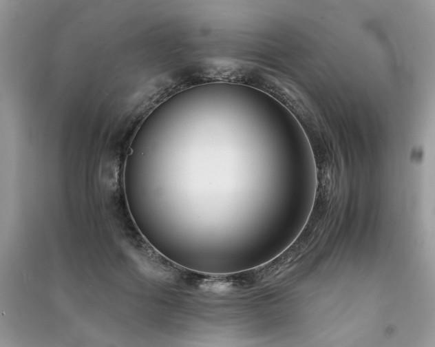 X0000091300602200708101309
