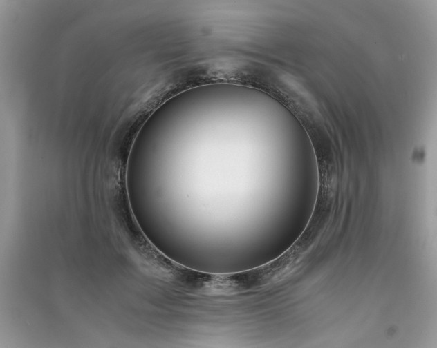 X0000091300603200708101309