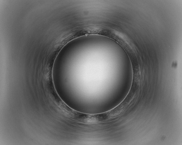 X0000091300604200708101309