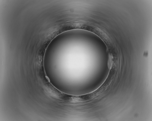 X0000091300605200708101309