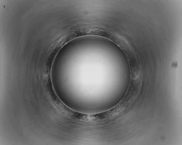 X0000091300607200708101309