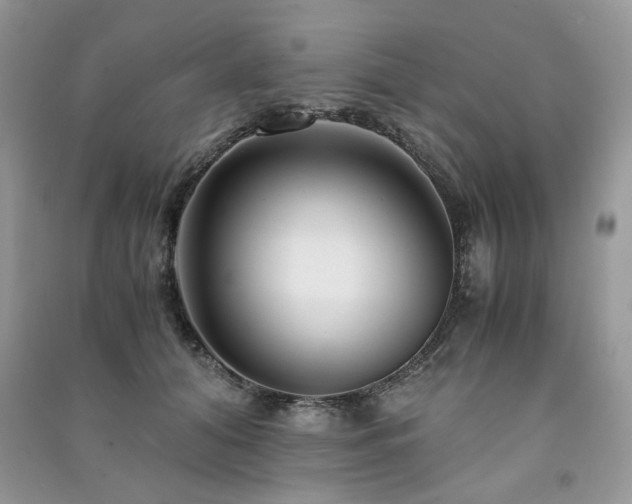 X0000091300608200708101309