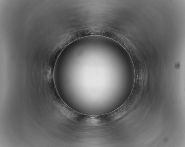 X0000091300610200708101309