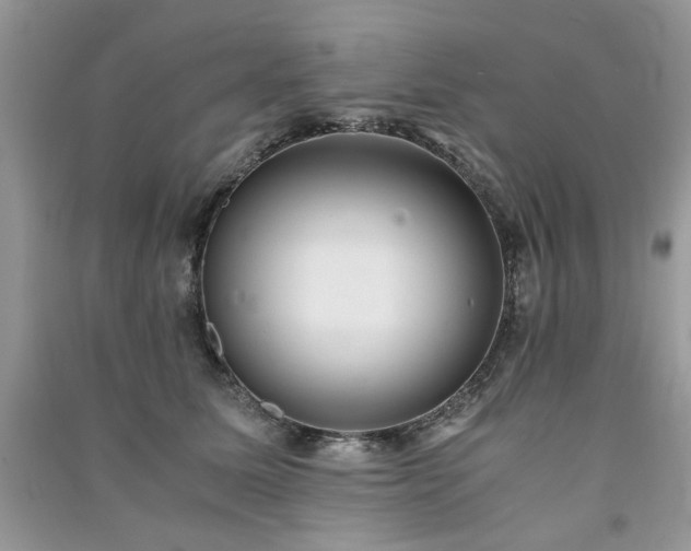 X0000091300611200708101309