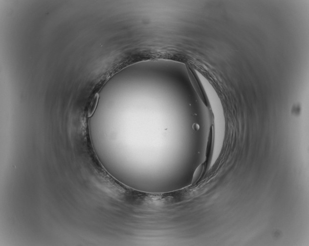 X0000091300613200708101309