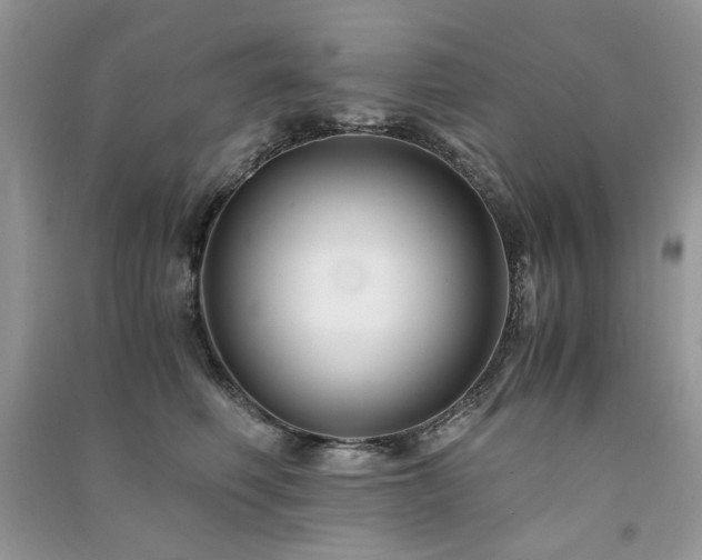 X0000091300614200708101309
