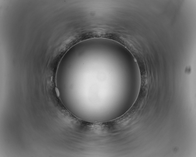 X0000091300615200708101309