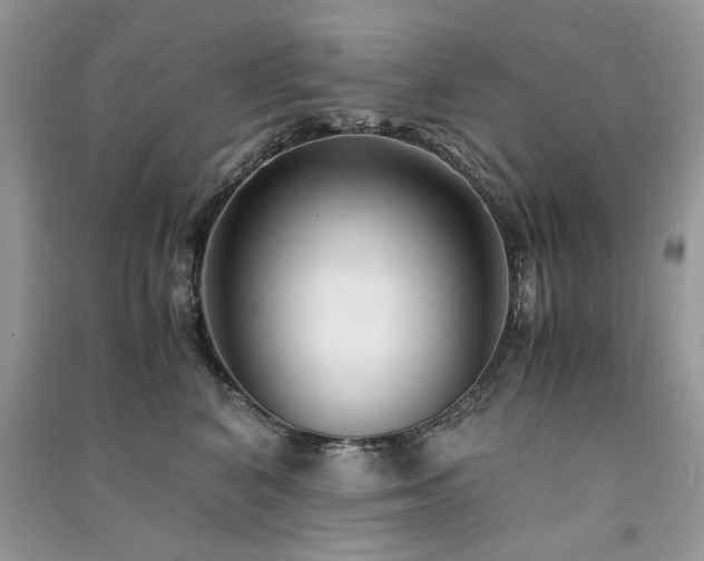 X0000091300616200708101309