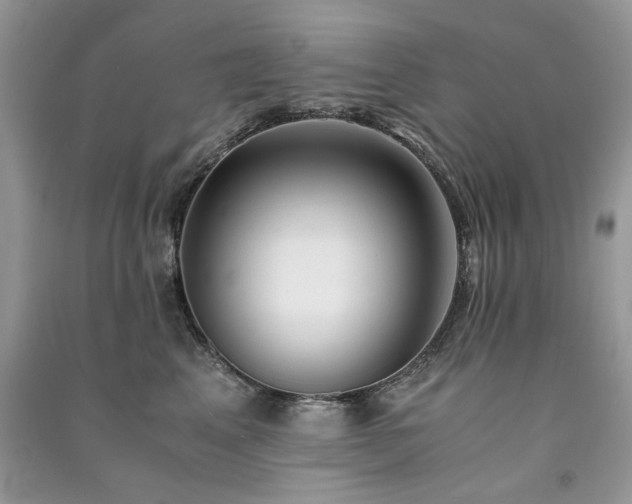 X0000091300617200708101309