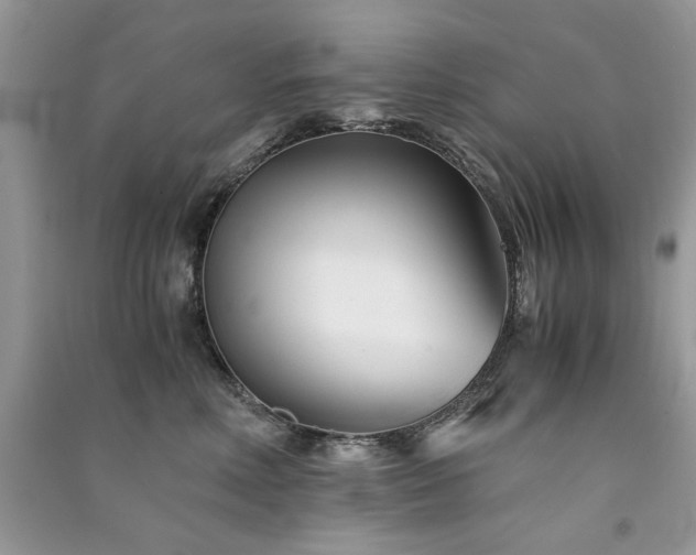 X0000091300618200708101309