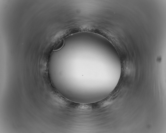 X0000091300619200708101309