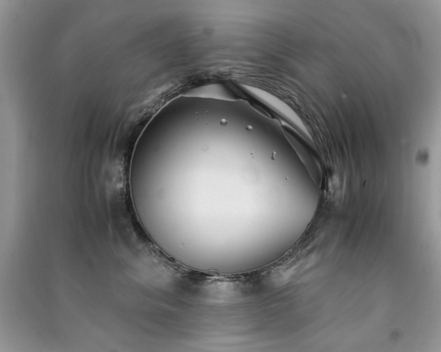 X0000091300620200708101309