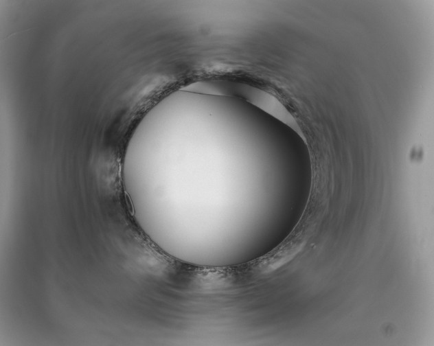 X0000091300624200708101309