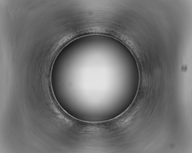X0000091300625200708101308