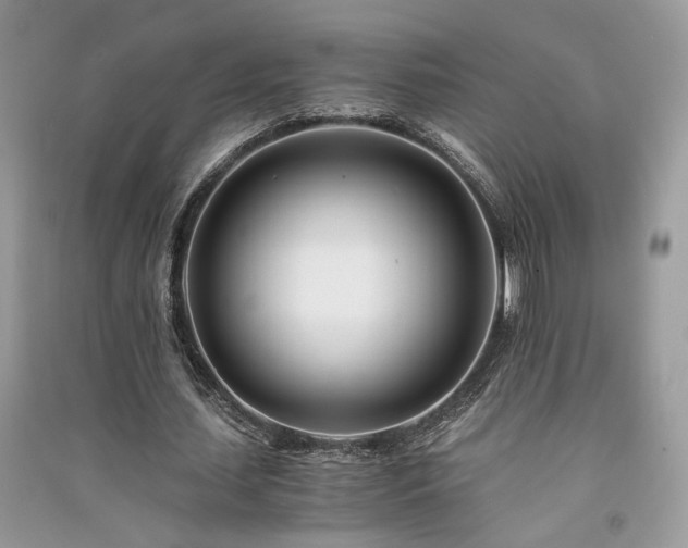 X0000091300627200708101308