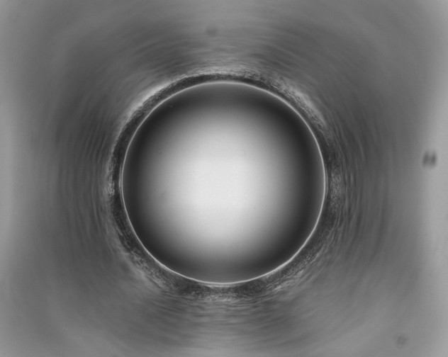 X0000091300628200708101308