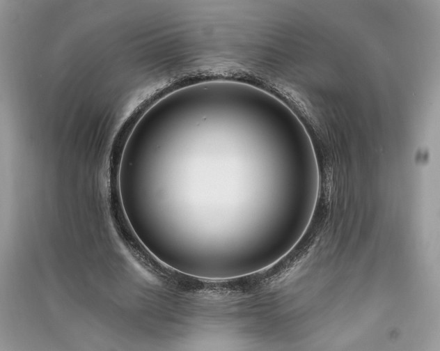X0000091300630200708101308
