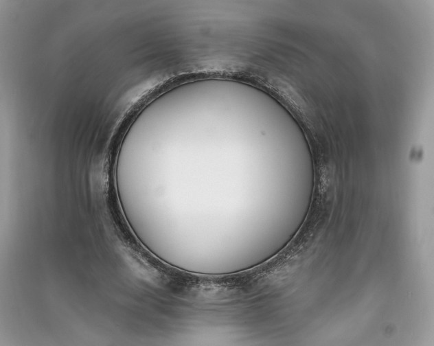 X0000091300632200708101308