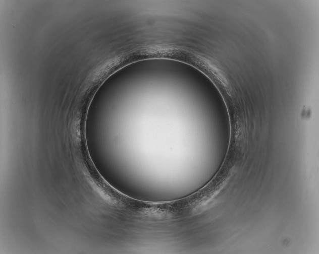 X0000091300633200708101308