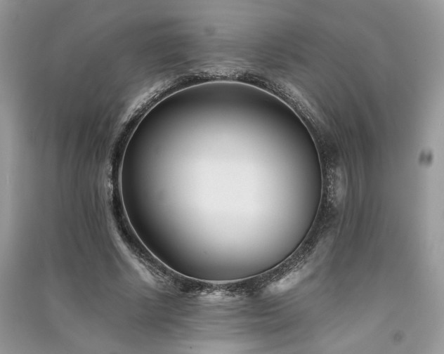 X0000091300634200708101308