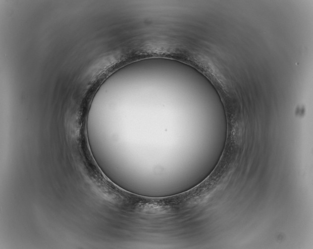 X0000091300635200708101308