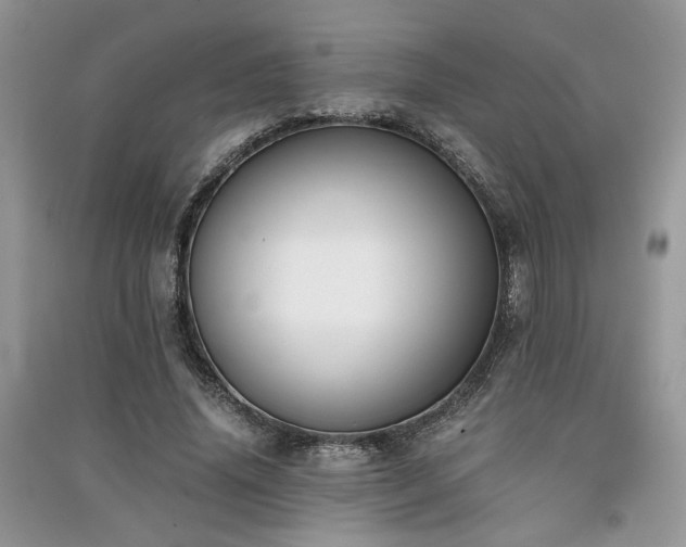 X0000091300636200708101308