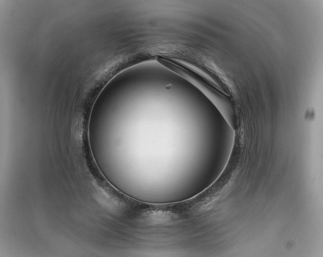 X0000091300637200708101308