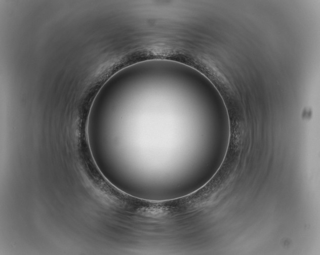 X0000091300639200708101308