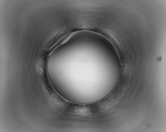 X0000091300643200708101309