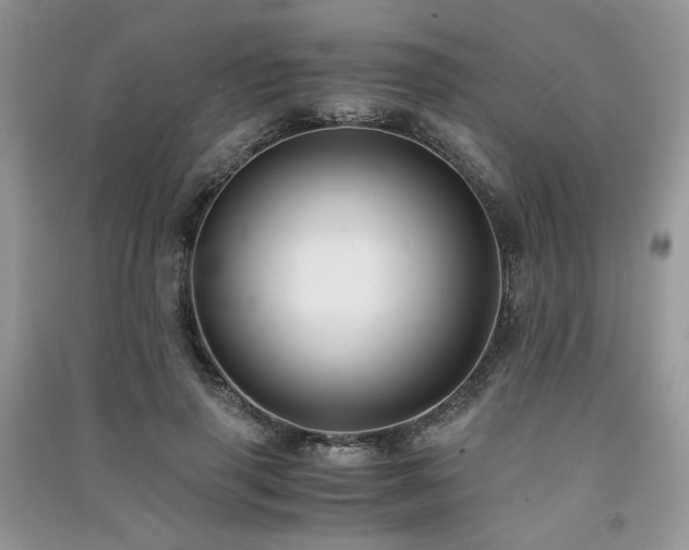 X0000091300645200708101309