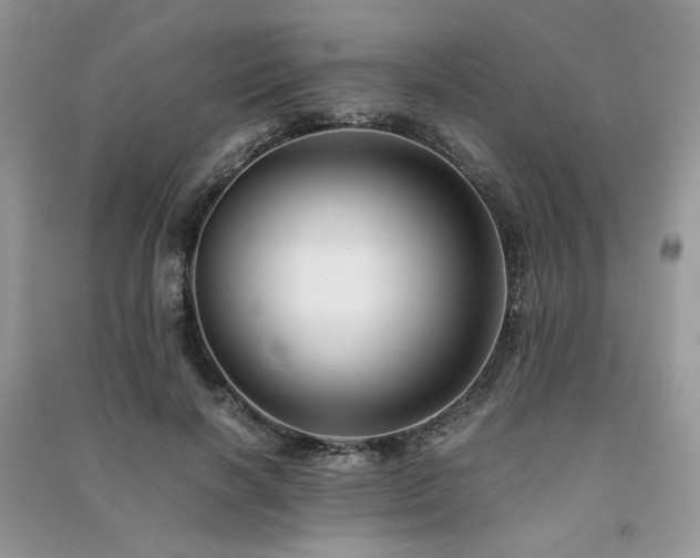 X0000091300646200708101309