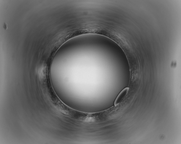 X0000091300647200708101309
