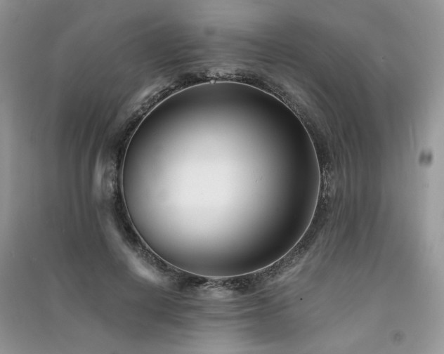 X0000091300648200708101309