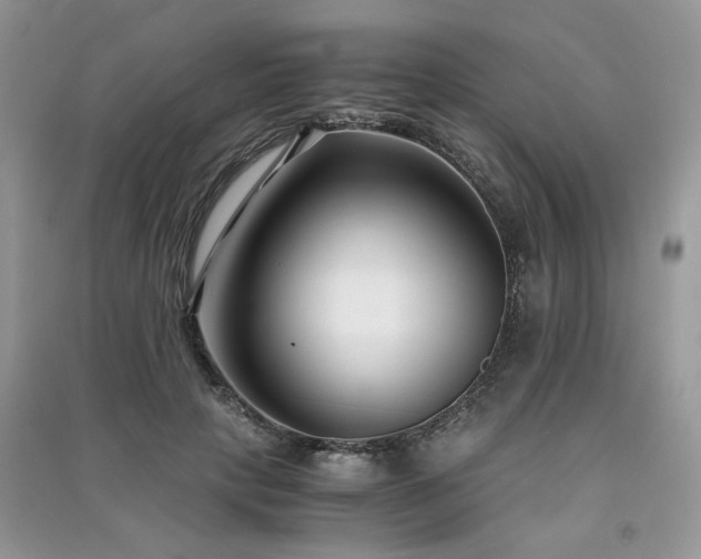 X0000091300649200708101309