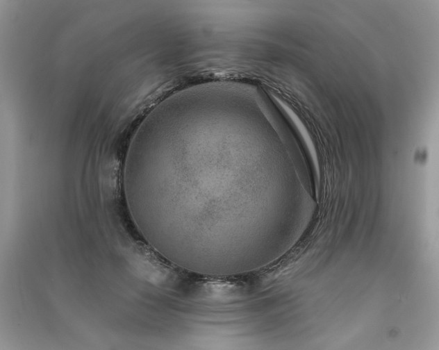 X0000091300650200708101309